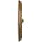 Ekena Millwork Foster Shell Ceiling Medallion (Fits Canopies up to 9 5/8"), 15 3/4"OD x 2"P, Rubbed Bronze CM15FORZS - alternate 3